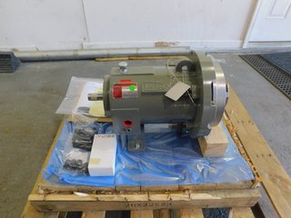 NEW Flowserve Guardian Sealless Metallic Mag Drive Pump LG2X1-10A
